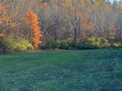 (private lake, pond, creek) Acreage For Sale in Foster Kentucky