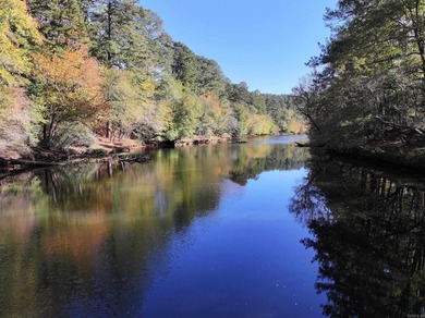 Lake Greeson Acreage For Sale in Murfreesboro Arkansas