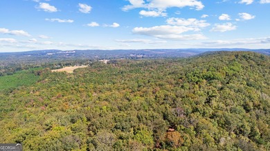Extraordinary 1,115-acre luxury estate set in the rolling hills - photo 13