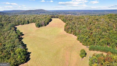 Extraordinary 1,115-acre luxury estate set in the rolling hills - photo 14