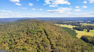 Extraordinary 1,115-acre luxury estate set in the rolling hills - photo 15