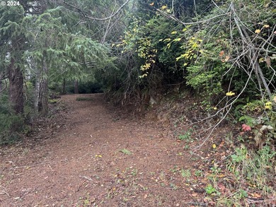 YOUR CHANCE TO OWN 5 +/- ACRES with Approx. 295' OF SOUTH - photo 15