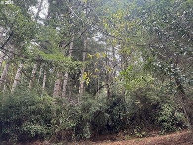 YOUR CHANCE TO OWN 5 +/- ACRES with Approx. 295' OF SOUTH - photo 17