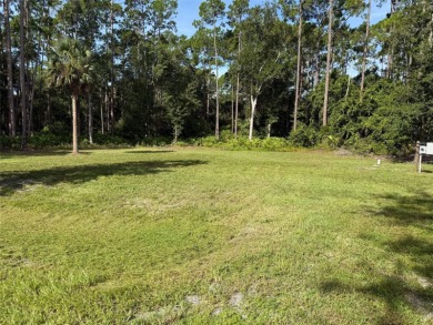 Lake George Lot For Sale in Georgetown Florida