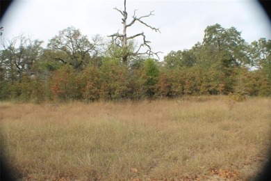 Secluded lot to build on in Point La Vista where deer roam all - Lake Lot For Sale in Malakoff, Texas