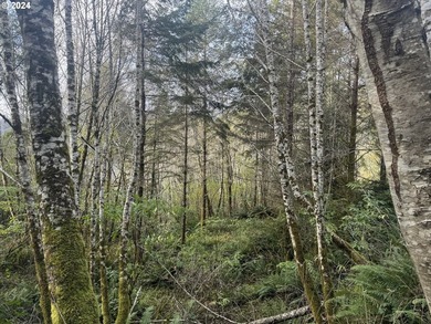 YOUR CHANCE TO OWN 5 +/- ACRES with Approx. 295' OF SOUTH - photo 21