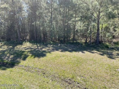 Gorgeous 4.2 acre waterfront homesite, AND a 1.3 acre - photo 11
