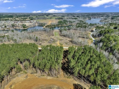 ATTENTION INVESTORS & DEVELOPERS! This rare 98-acre Smith Lake - photo 11