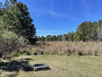 Gorgeous 4.2 acre waterfront homesite, AND a 1.3 acre - photo 12