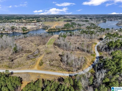 ATTENTION INVESTORS & DEVELOPERS! This rare 98-acre Smith Lake - photo 12