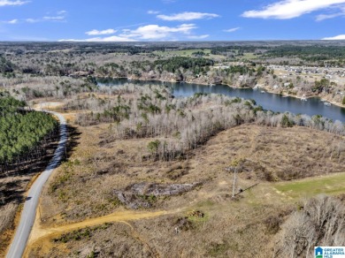 ATTENTION INVESTORS & DEVELOPERS! This rare 98-acre Smith Lake - photo 13