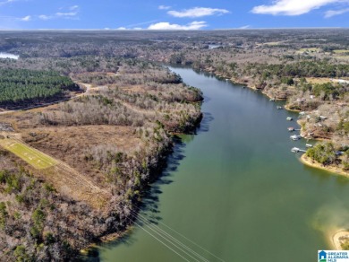 ATTENTION INVESTORS & DEVELOPERS! This rare 98-acre Smith Lake - photo 14