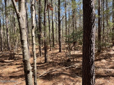 Gorgeous 4.2 acre waterfront homesite, AND a 1.3 acre - photo 15