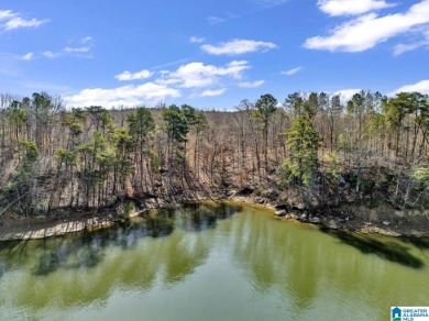 ATTENTION INVESTORS & DEVELOPERS! This rare 98-acre Smith Lake - photo 15