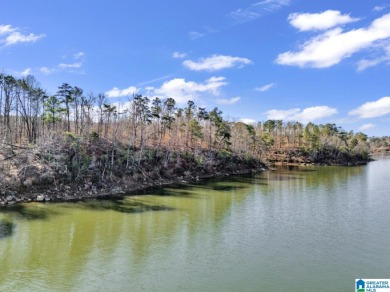ATTENTION INVESTORS & DEVELOPERS! This rare 98-acre Smith Lake - photo 16
