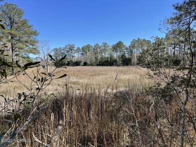 Gorgeous 4.2 acre waterfront homesite, AND a 1.3 acre - photo 17