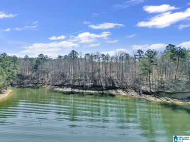 ATTENTION INVESTORS & DEVELOPERS! This rare 98-acre Smith Lake - photo 17
