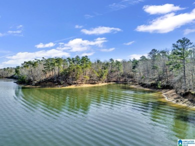 ATTENTION INVESTORS & DEVELOPERS! This rare 98-acre Smith Lake - photo 18