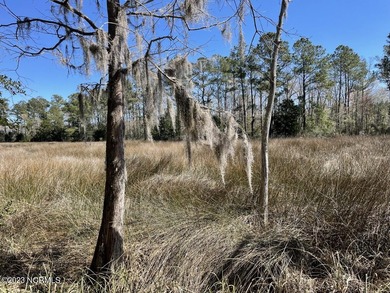 Gorgeous 4.2 acre waterfront homesite, AND a 1.3 acre - photo 19