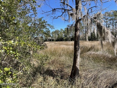 Gorgeous 4.2 acre waterfront homesite, AND a 1.3 acre - photo 20