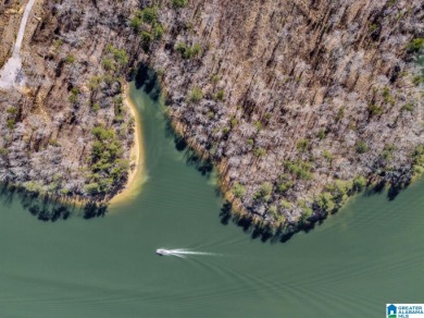 ATTENTION INVESTORS & DEVELOPERS! This rare 98-acre Smith Lake - photo 21