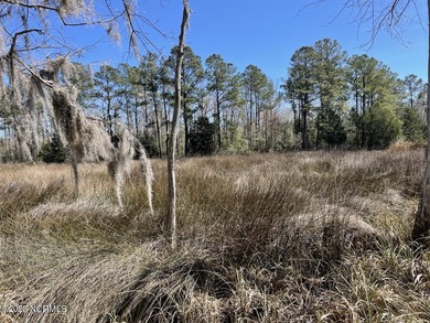 Gorgeous 4.2 acre waterfront homesite, AND a 1.3 acre - photo 22