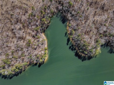 ATTENTION INVESTORS & DEVELOPERS! This rare 98-acre Smith Lake - photo 22
