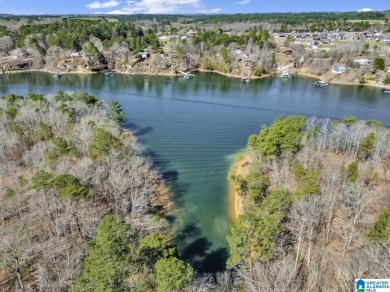 ATTENTION INVESTORS & DEVELOPERS! This rare 98-acre Smith Lake - photo 24