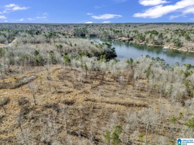 ATTENTION INVESTORS & DEVELOPERS! This rare 98-acre Smith Lake - photo 25
