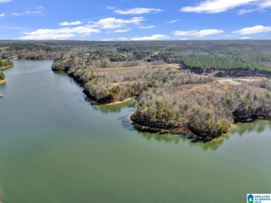 ATTENTION INVESTORS & DEVELOPERS! This rare 98-acre Smith Lake - photo 26