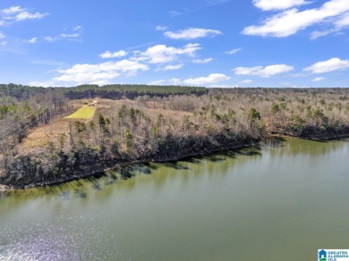 ATTENTION INVESTORS & DEVELOPERS! This rare 98-acre Smith Lake - photo 27