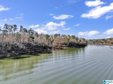 ATTENTION INVESTORS & DEVELOPERS! This rare 98-acre Smith Lake - photo 28