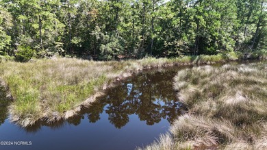 Gorgeous 4.2 acre waterfront homesite, AND a 1.3 acre - photo 29