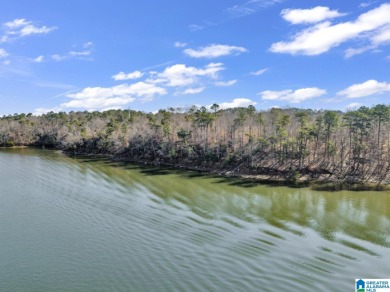 ATTENTION INVESTORS & DEVELOPERS! This rare 98-acre Smith Lake - photo 29