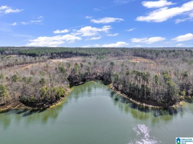 ATTENTION INVESTORS & DEVELOPERS! This rare 98-acre Smith Lake - photo 30
