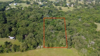 Lake Lot For Sale in Wills Point, Texas