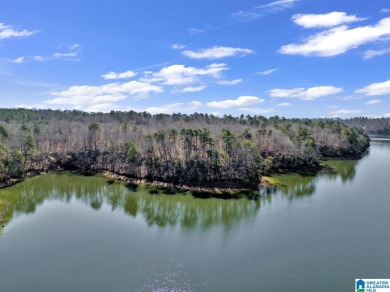 ATTENTION INVESTORS & DEVELOPERS! This rare 98-acre Smith Lake - photo 31
