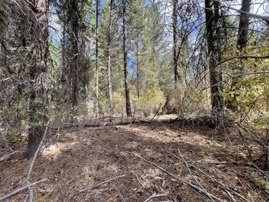 South Twin Lake Lot For Sale in Inchelium Washington