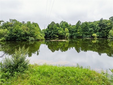 (private lake, pond, creek) Acreage For Sale in Roseville Ohio