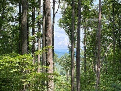 4 UNRESTRICTED ACRES with true long-range mountain and lake - photo 2