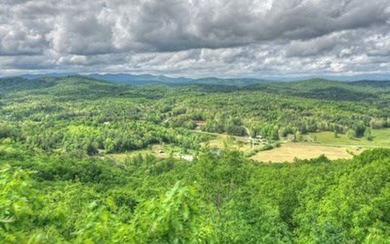 4 UNRESTRICTED ACRES with true long-range mountain and lake - photo 3