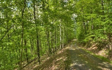 4 UNRESTRICTED ACRES with true long-range mountain and lake - photo 4