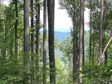 4 UNRESTRICTED ACRES with true long-range mountain and lake - photo 5