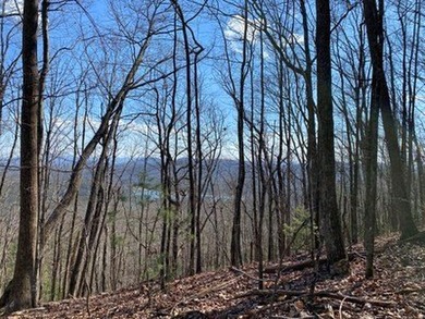4 UNRESTRICTED ACRES with true long-range mountain and lake - photo 7