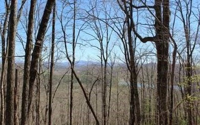 4 UNRESTRICTED ACRES with true long-range mountain and lake - photo 8