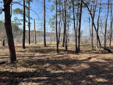 Lake Sam Rayburn  Lot For Sale in Brookeland Texas