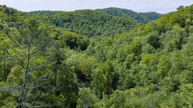 Beautifully kept 2 bed/ 2 1/2 bath mountain home oasis with an - photo 2