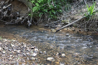 Discover an exceptional hunting and recreational property in the - photo 25