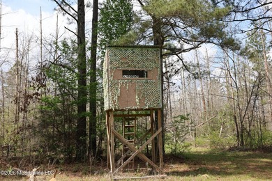 Discover an exceptional hunting and recreational property in the - photo 31