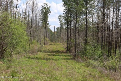 Discover an exceptional hunting and recreational property in the - photo 32